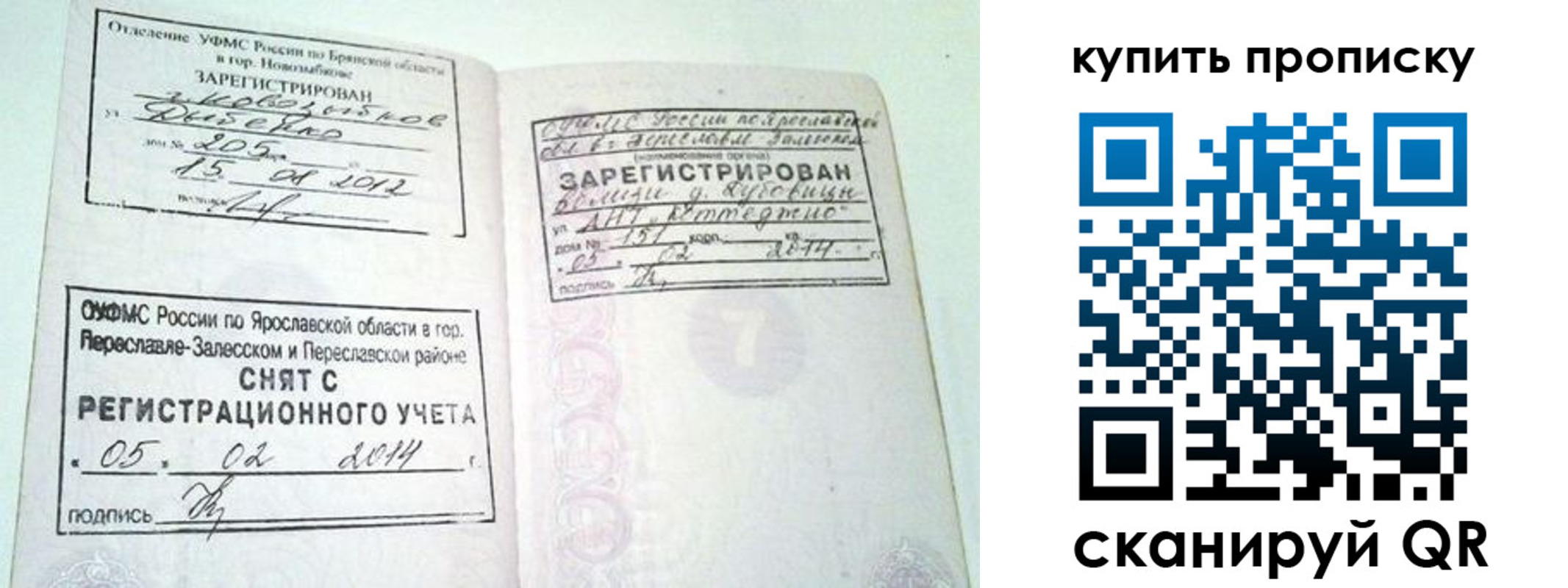 прописка ребенка в Светлогорске